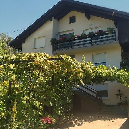 Eko Kmetija Gerbec Apartment Grahovo Екстериор снимка